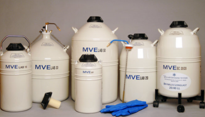 Brymill Long Last 20 Litre Dewar