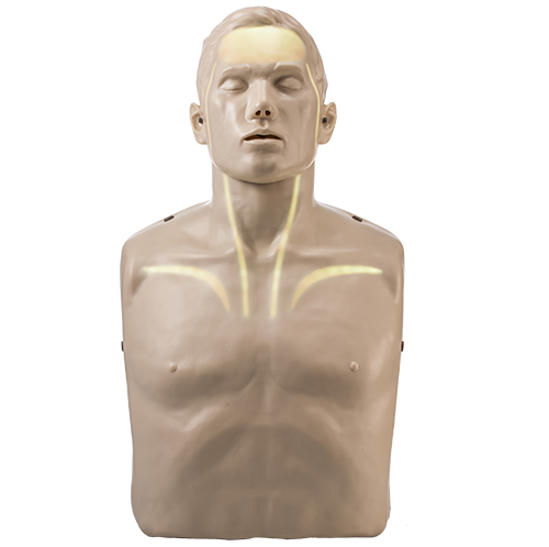 Brayden Manikin (With red or white lights)