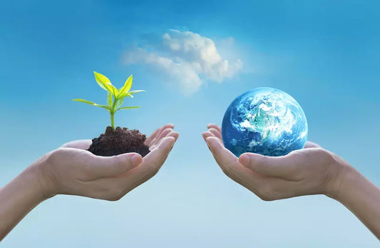 Seal Medical's Commitment to Sustainability: Supporting the NHS Net Zero Goals