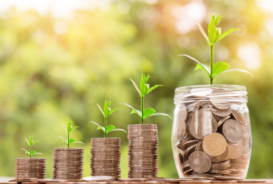 Discover Exceptional Value with the Seal Super Savings