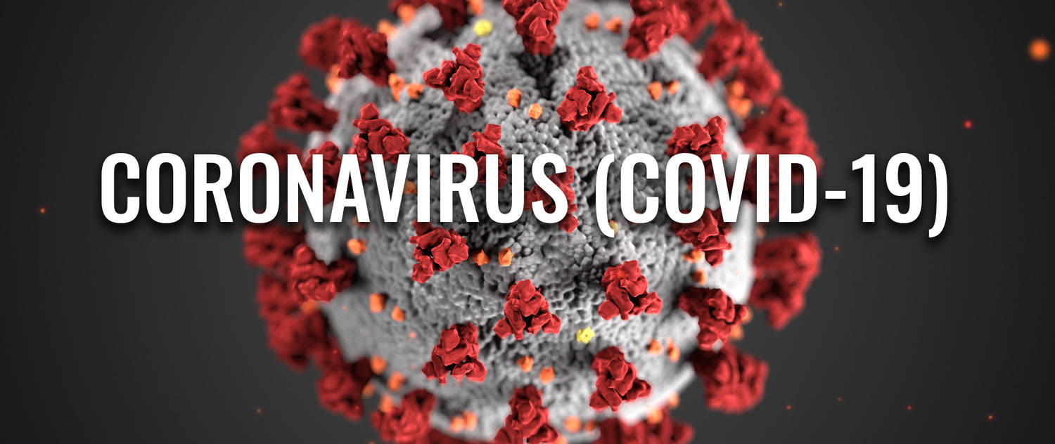 VIRUS PROTECTION