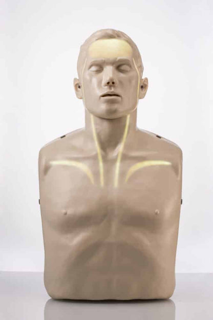 Brayden CPR Manikin with WHITE Lights