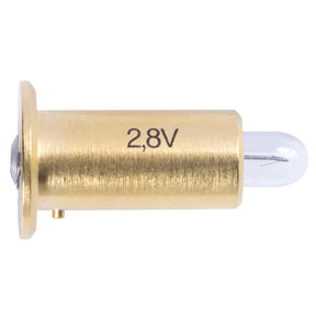 KT22 8 Guardian Generica Bulb-1000