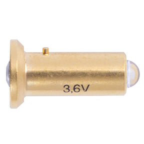 KT53 6 Guardian Generica Bulb-1000