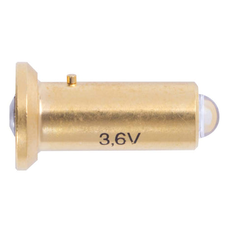 KT53 6 Guardian Generica Bulb-1000
