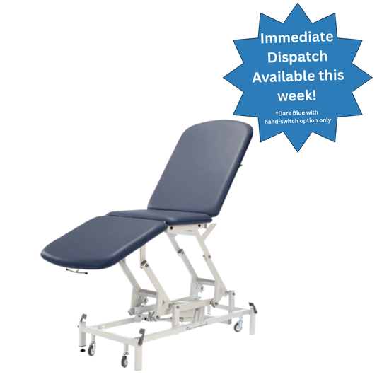 Seers - Medicare 3 Section Electric Couch with electric backrest and gas assisted footrest (RWD)