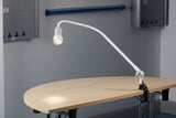 Brandon Medical - Coolview CLED30 Horizontal LED Examination Light, with LED technology - table mounted 