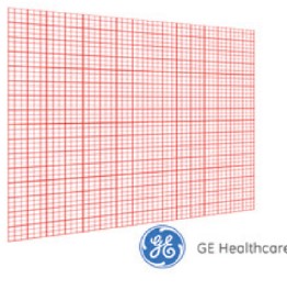 ECGMac600