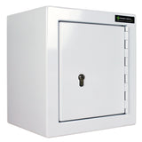 HECDC002 CONTROLLED DRUGS CABINET | 1 SHELF (Removable) | R or L HINGE, optional warning light