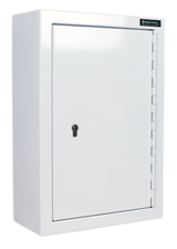 Pharmacy Medical - HECDC1012 CONTROLLED DRUGS CABINET | 2 SHELVES (Adjustable) |  R or L HINGE, optional warning light