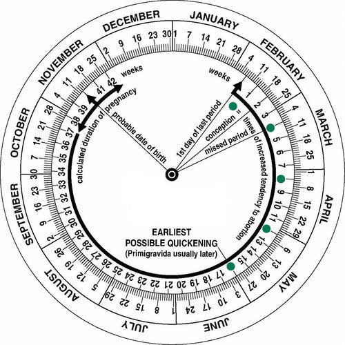 seca AIW Disks - seca double-sided discs: Age in Weeks Calculator / Pregnancy Calculator