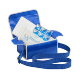 Mini Porter Vaccine Carrying Cool Bag - internal view