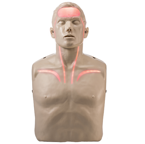 Brayden Manikin (With red or white lights)