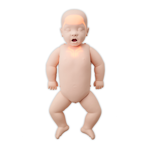 Brayden Baby