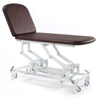 Seers - Medicare 2 Section Electric Couch with electric backrest (RWD)