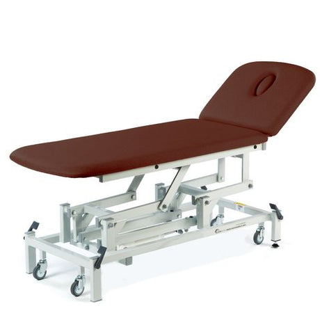Seers - Therapy 2 Section Electric Couch, with basic head section and various switch options - brown