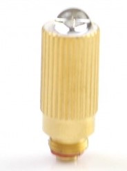 bulb
