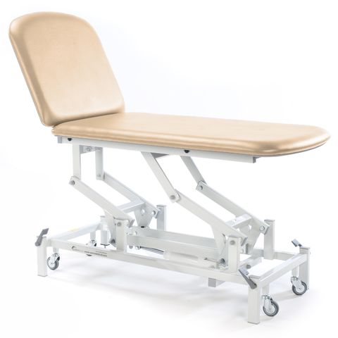 Seers - Medicare 2 Section Electric Couch with electric backrest (RWD)