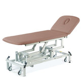 Seers - Therapy 2 Section Electric Couch, with basic head section and various switch options - beige 