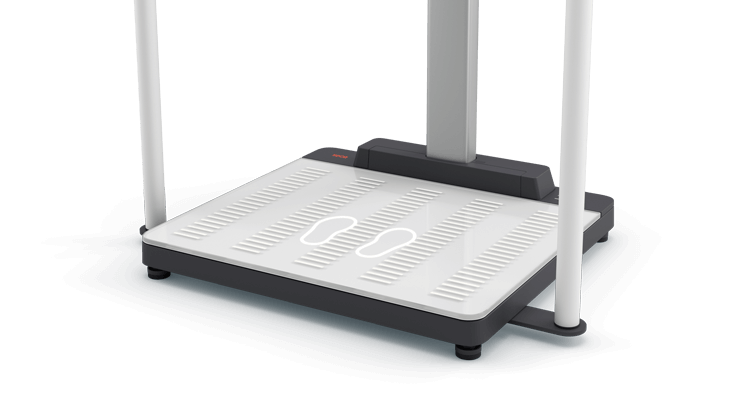 seca 655 - (HR+/US) - NEW Class III digital high capacity hand-rail scale with BMI & WiFi connectivity, user & patient ID on-screen verification and optional ultrasound height measure