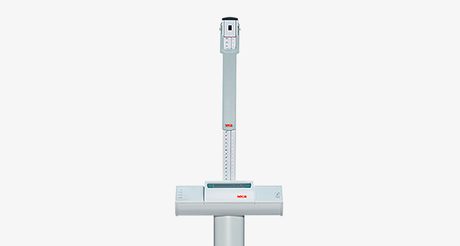 seca 704 - Class III high capacity digital column scale, extremely robust large base, BMI, Wirelessly Connectivity