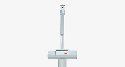 seca 704 - Class III high capacity digital column scale, extremely robust large base, BMI, Wirelessly Connectivity