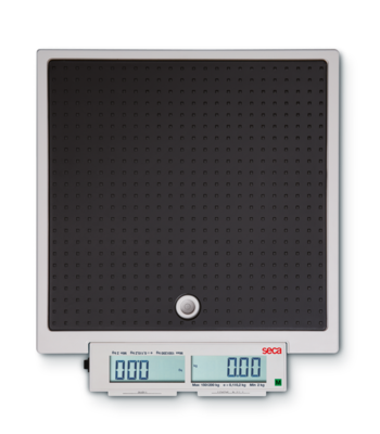 seca 878 - Class III digital flat scale with foot switches & double display