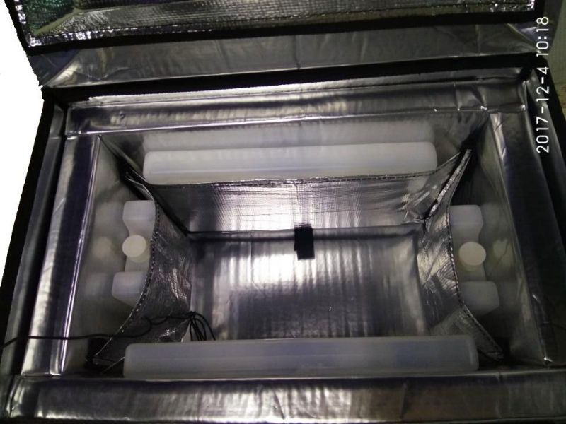 10L Foldable Spacesaver Medical Cool Box - close up of interior 
