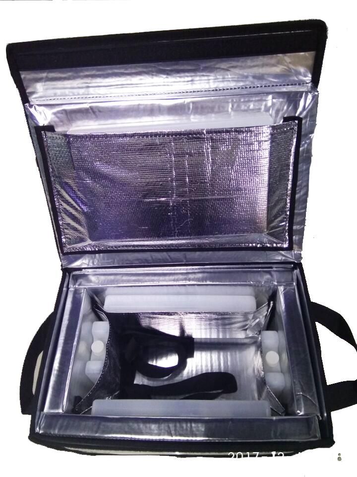 10L Foldable Spacesaver Medical Cool Box